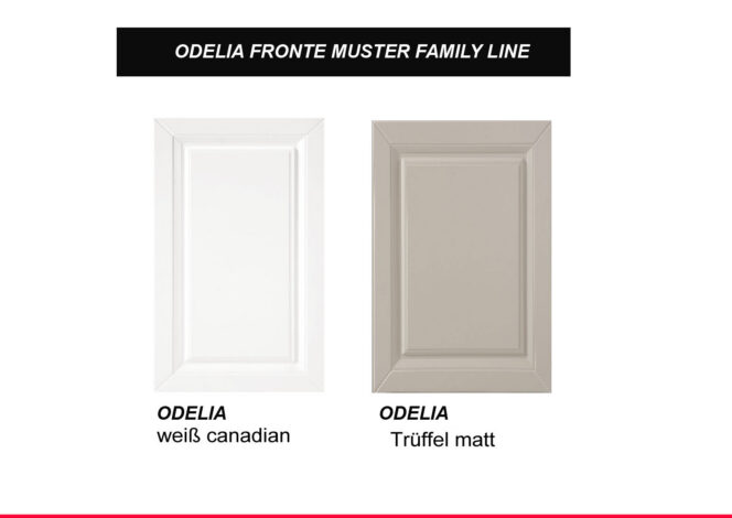 EINBAUKÜCHE KÜCHENZEILE ODELIA WEISS MATT FL 240 CM #L22647